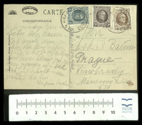 Luise Sachsel.