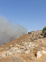 הצתות.