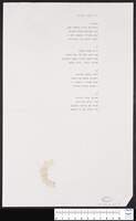 שיר הרעב והשובע (עבוד - כתב יד).