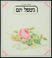 תכניה - 'גימפל תם'.
