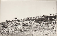 Israel - Typical Galilee landscape.