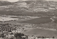 Israel - Parod Valley.