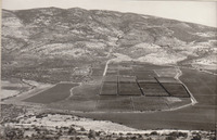 Israel - View from Hazon.