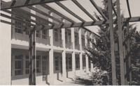 Rehovot - Hebrew University Agricultural College built with the assistance of the JCA.