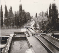 Israel - Mixing sweet and brackish water.