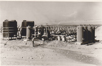 Israel - Automatic drip irrigation with simultaneous fertilizing.