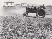 Nir Banim - Houses and tractor at work.