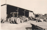 Be'er Tuvia - Cowshed with cattle and agricultural machinery station.