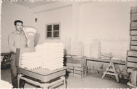 Kiryat Malachi - Egg grading and shipping shed.