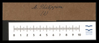 Philippson, Martin.
