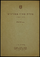 פרסומים - 'בקרת בטון בבניינים'.