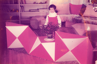 שקופיות - ריהוט פוליהדרי, ללא מיקום.