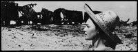 תצלום - דליה פרידלנד, סיני.