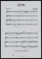 Seven voices / Max Stern.