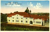 Târgu-Mureş. Palatul cultural evr.