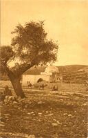 Rachel's Tomb (Eretz Israel - Palestine).
