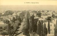 The German Colony, Haifa (Eretz Israel - Palestine).