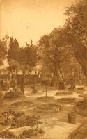 Gethsemane (Eretz Israel - Palestine).