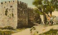 The Old City Walls of Jreusalem (Eretz Israel - Palestine).