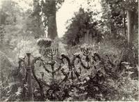 Jewish cemetery in Lido.