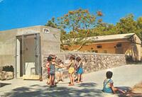 Children in Afikim.