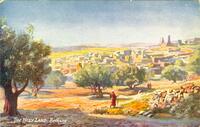 Bethany (Eretz Israel - Palestine).