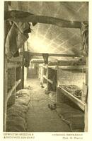 Auschwitz-Birkenau - View of women's block – הספרייה הלאומית