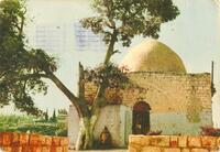 Beit Midrash "Shem and Ever", Safed, Israel.