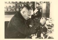 Éric von Stroheim. 1925.