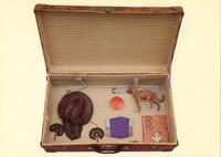 In the Suitcase.