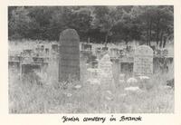Jewish cemetery in Bransk.