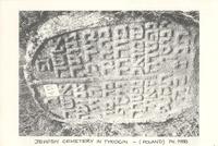 Jewish cemetery in Tykocin - (Poland).