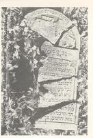 Knishin - Jewish cemetery founded ca 1750.