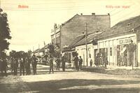 Mohács. Király-ulcai részlet.