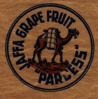 Jaffa Grape Fruit Pardess.