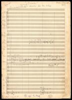 Sinaia (manuscript) : [film music] / Noam Sheriff.