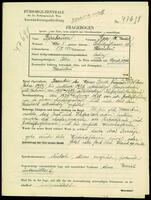 Applicant: Birnbaum, Rosa (Ch Rachel); born 8.2.1892 in Stanislau; single.