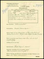 Applicant: Nyitrai, Samuel; born 7.8.1874 in Nitra (Slovakia); married.