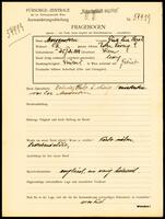 Applicant: Morgenstern, Gusta Lina Sarah; born 25.7.1908 in Vienna (Austria); single.