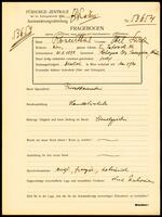 Applicant: Rosenthal, Ettel; born 21.5.1895 in Rohizna (Chernivt︠s︡i, Ukraine); single.