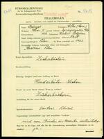 Applicant: Spiegel, Rifka Rosa; born 1876 in Podgorze (Krakow, Poland); widowed.