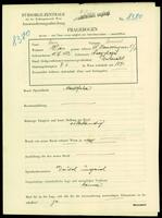 Applicant: Stern, Samuel; born 15.3.1882 in Nyíregyháza (Hungary); married.
