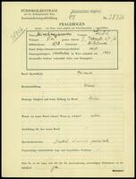 Applicant: Mischnajewsky, Gitel; born 1873 in Russia; married.