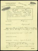 Applicant: Marchfeld, Hermann; born 25.9.1882 in Kutti (Slovakia); married.