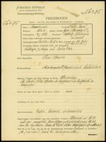 Applicant: Mannheimer, Theodor Israel; born 12.3.1863 in Rokitnitz, Sudetengau; married.