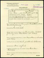 Applicant: Fink, Raschel; born 29.2.1888 in Vienna (Austria); single.