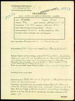 Applicant: Friedler, Anna; born 3.2.1897 in Novytsia (Ukraine); single.