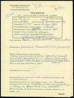 Applicant: Hubner, Schinschon; born 15.2.1891 in Sniatyn (Poland); married.