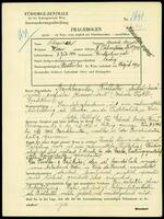 Applicant: Schapirer, Mordihe Mendel; born 7.7.1902 in Konstantinopel (Turkey); single.