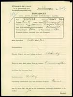 Applicant: Seidler, Israel Elie; born 10.12.1893 in Tarnopol (Poland); married.